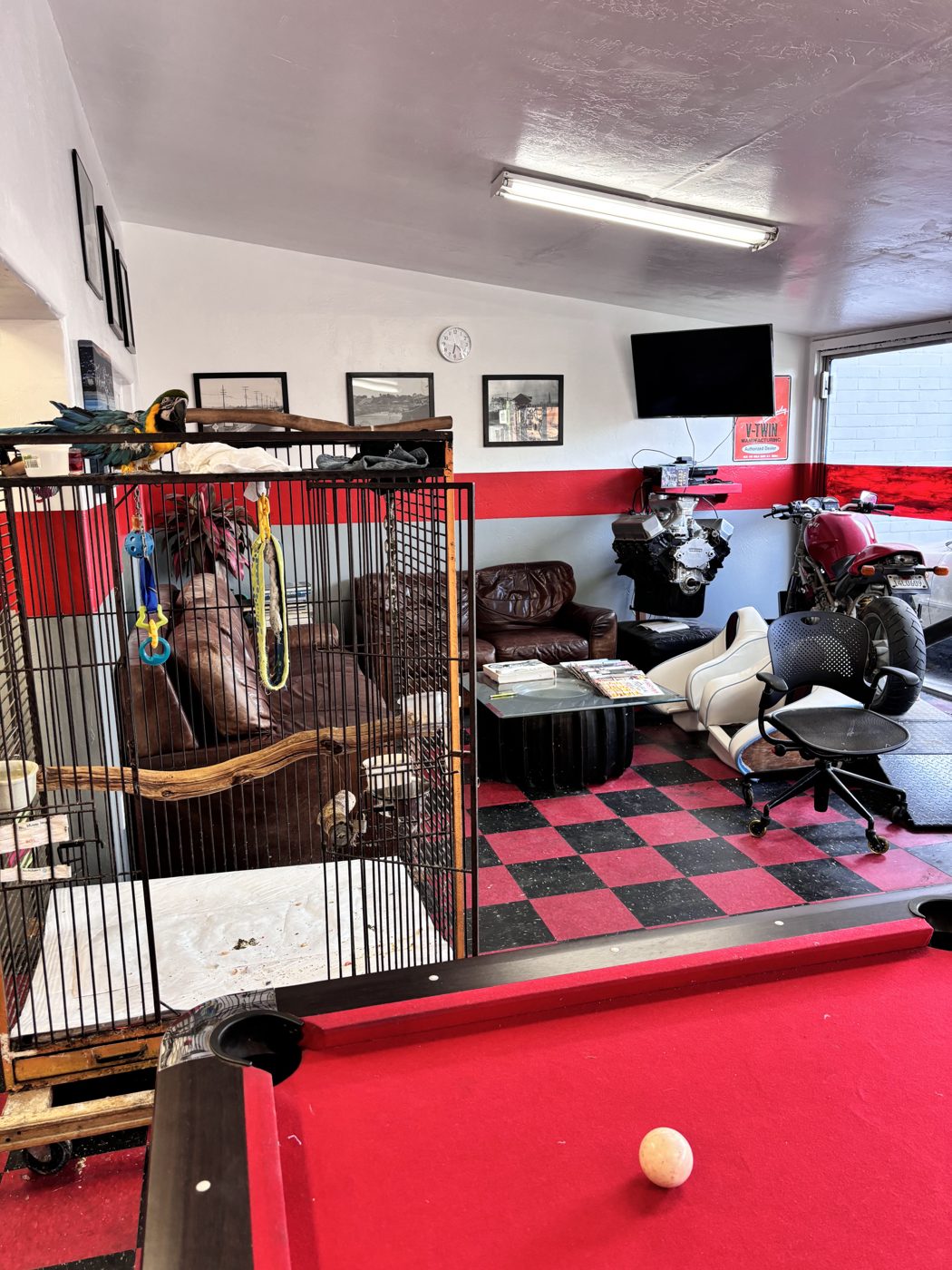 Waiting lobby with pool table and macaw cage